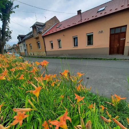 Hotel Kis Rigo Vendeghaz Salgótarján Exteriér fotografie