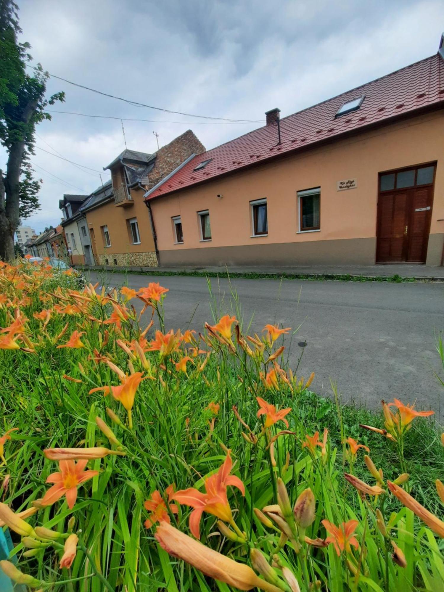 Hotel Kis Rigo Vendeghaz Salgótarján Exteriér fotografie